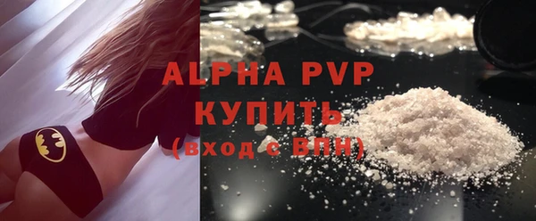 гидра Богородск