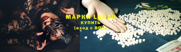 гидра Богородск