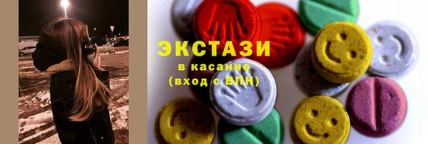 гидра Богородск