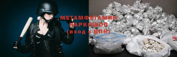 гидра Богородск