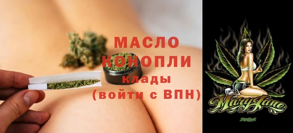 гидра Богородск