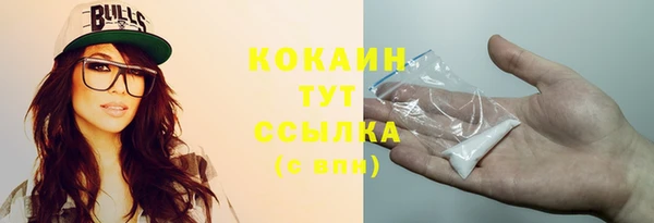 гидра Богородск