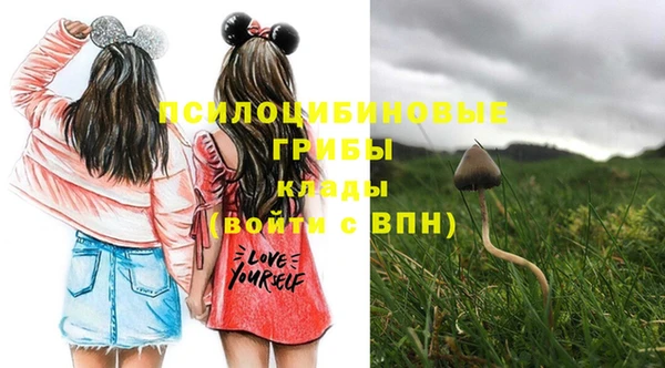 круглые Богородицк