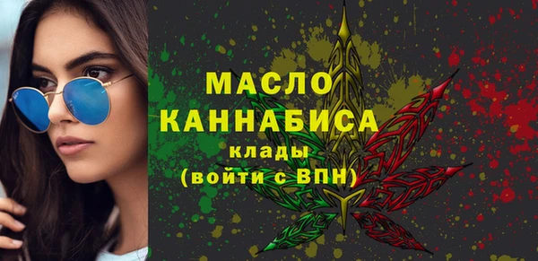 гидра Богородск