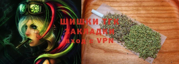 гидра Богородск