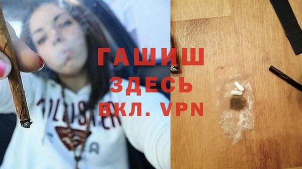 гидра Богородск